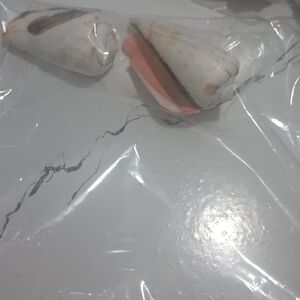 Natural Cone Shell Pair - White with Pink Interior